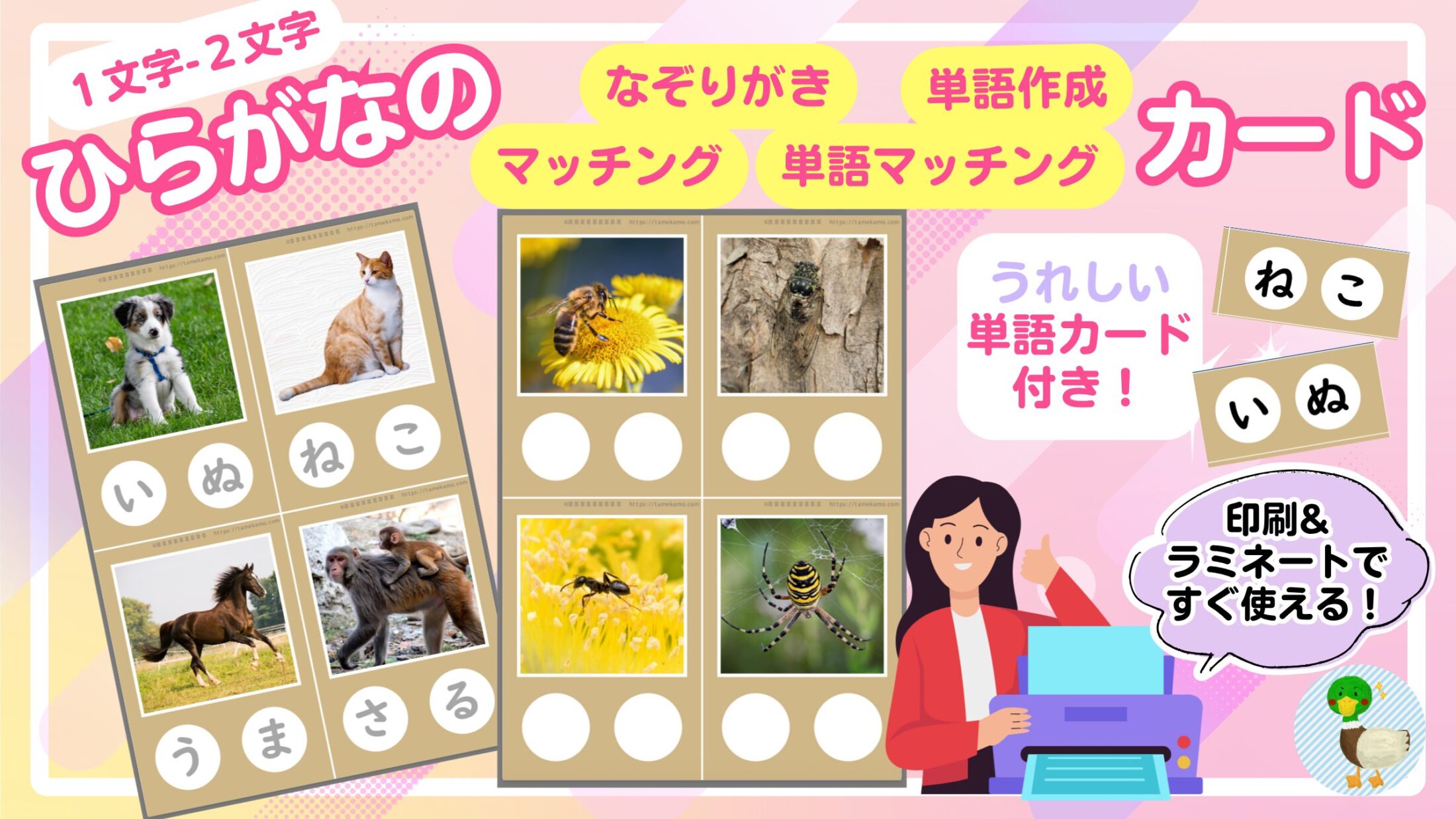 ひらがなの単語の学習カード　無料　PDF